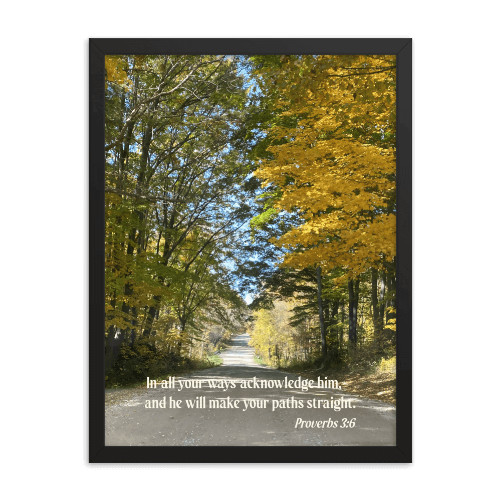 Proverbs 3:6 Bible Verse, Fall Road Enhanced Matte Paper Framed Poster Wall Art Black 18″×24″