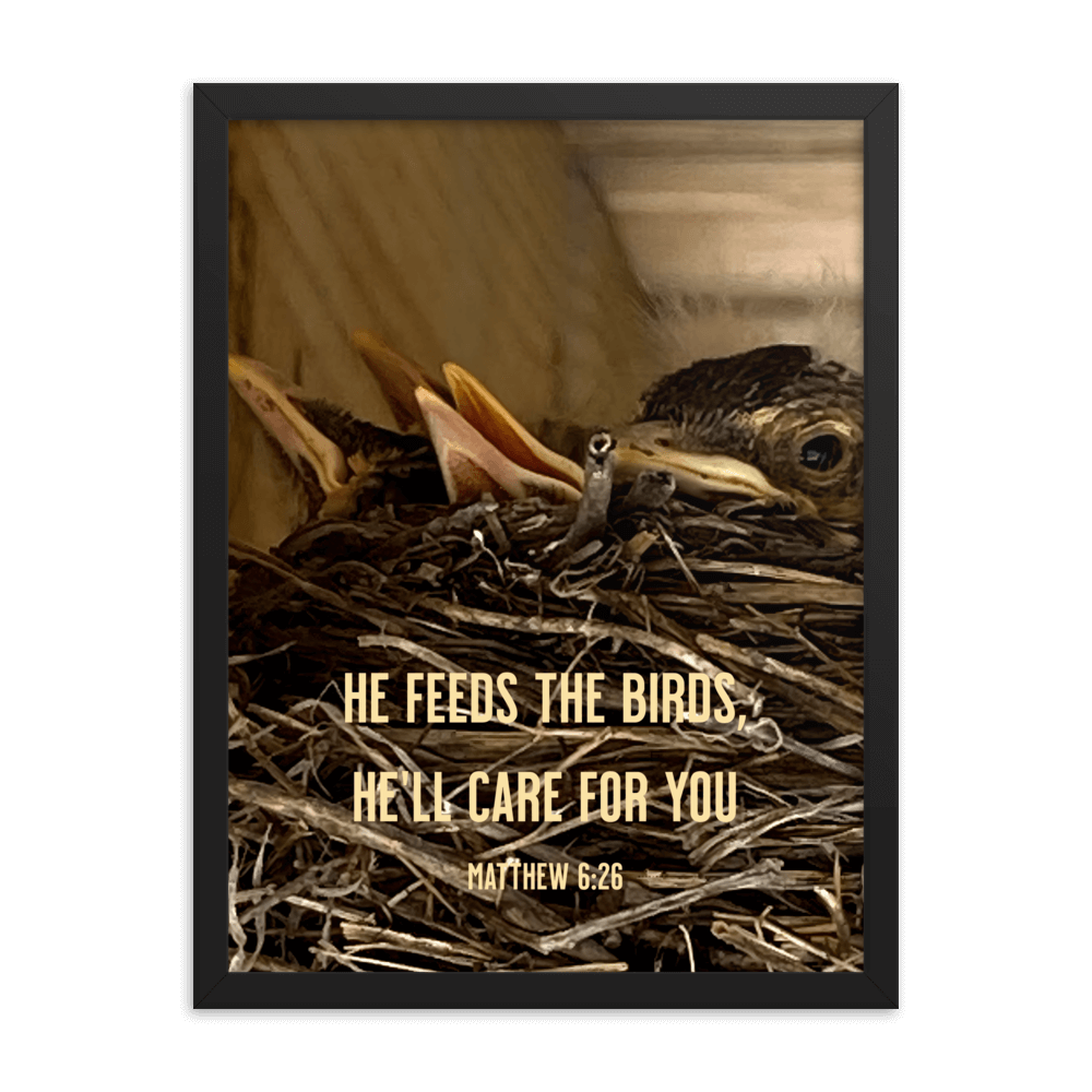 Matthew 6:26 Baby Robins, He'll Care for You Enhanced Matte Paper Framed Poster Wall Art Black 18″×24″