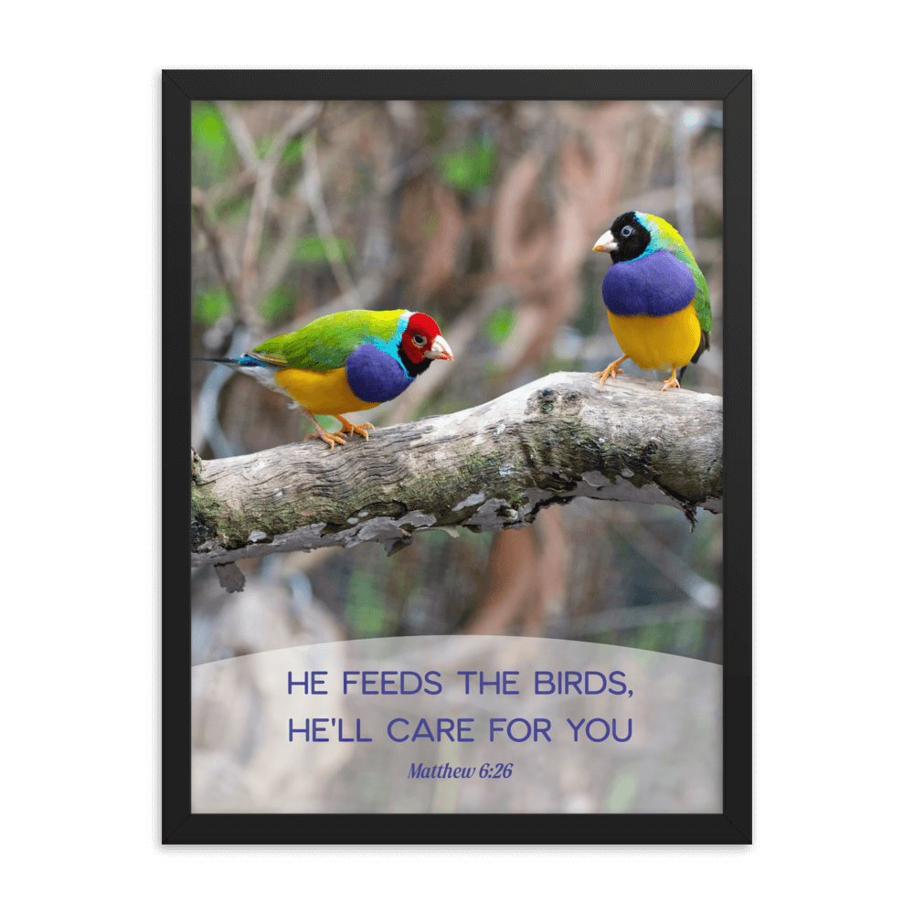 Matthew 6:26 Gouldian Finches, He'll Care for You Enhanced Matte Paper Framed Poster Wall Art Black 18″×24″