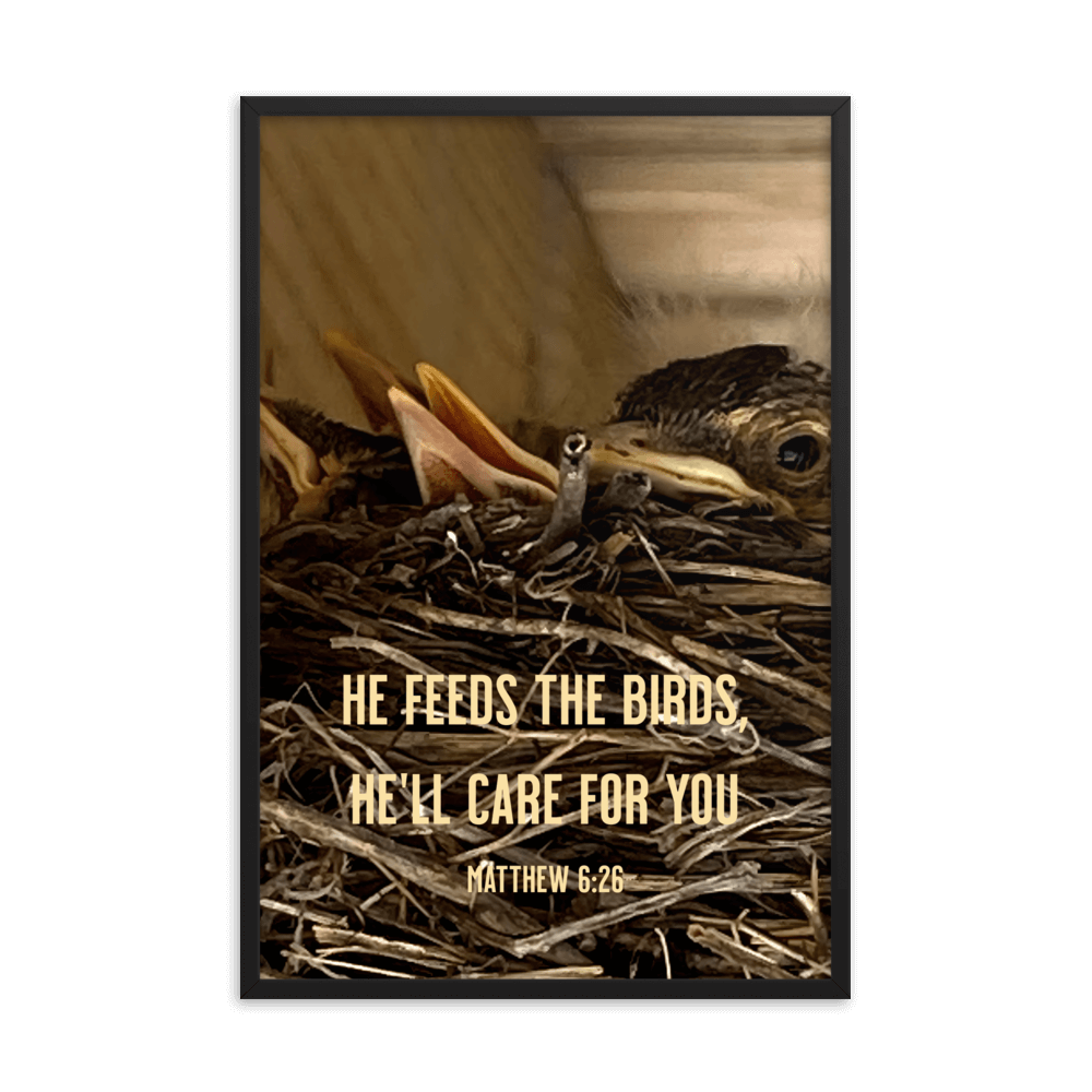 Matthew 6:26 Baby Robins, He'll Care for You Enhanced Matte Paper Framed Poster Wall Art Black 24″×36″