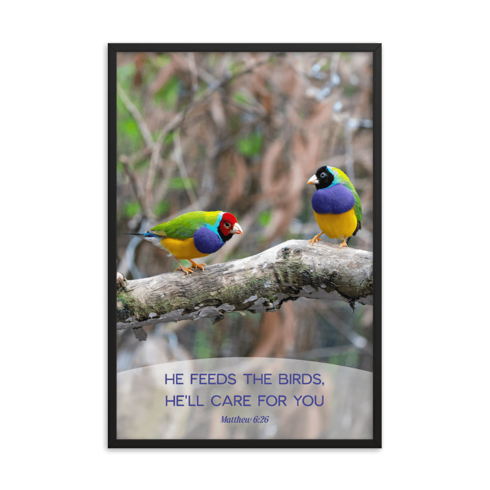 Matthew 6:26 Gouldian Finches, He'll Care for You Enhanced Matte Paper Framed Poster Wall Art Black 24″×36″