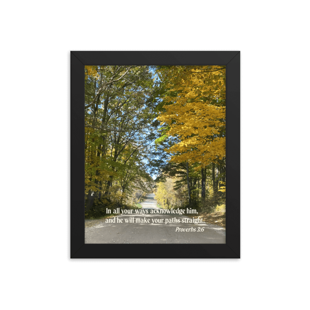 Proverbs 3:6 Bible Verse, Fall Road Enhanced Matte Paper Framed Poster Wall Art Black 8″×10″