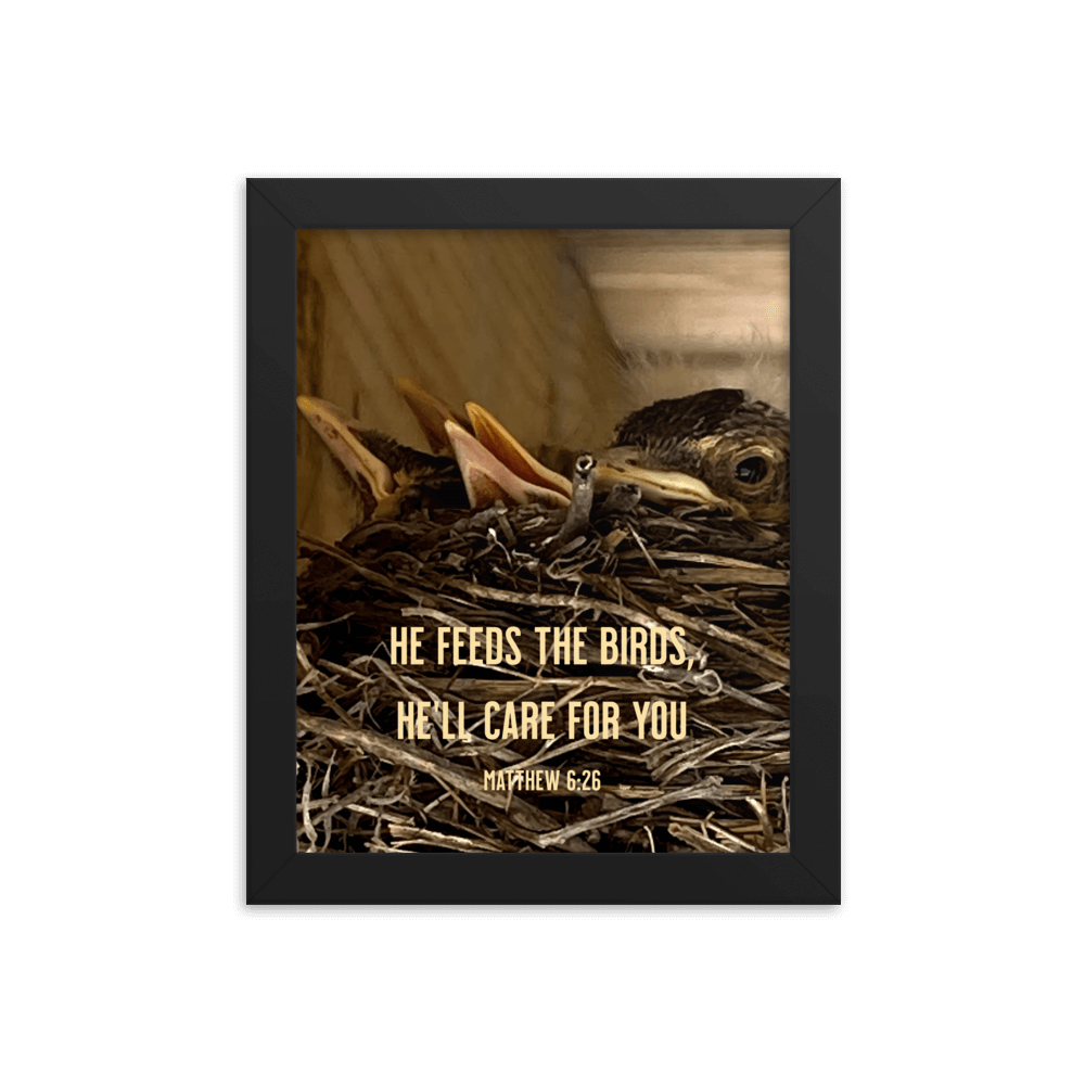 Matthew 6:26 Baby Robins, He'll Care for You Enhanced Matte Paper Framed Poster Wall Art Black 8″×10″