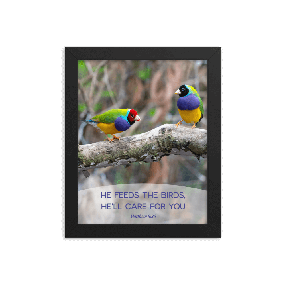 Matthew 6:26 Gouldian Finches, He'll Care for You Enhanced Matte Paper Framed Poster Wall Art Black 8″×10″