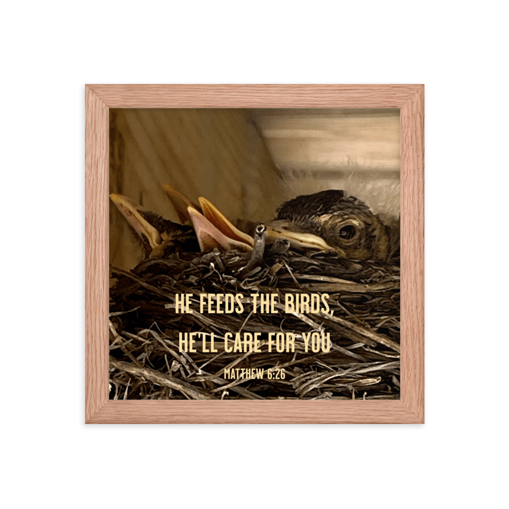 Matthew 6:26 Baby Robins, He'll Care for You Enhanced Matte Paper Framed Poster Wall Art Red Oak 10″×10″