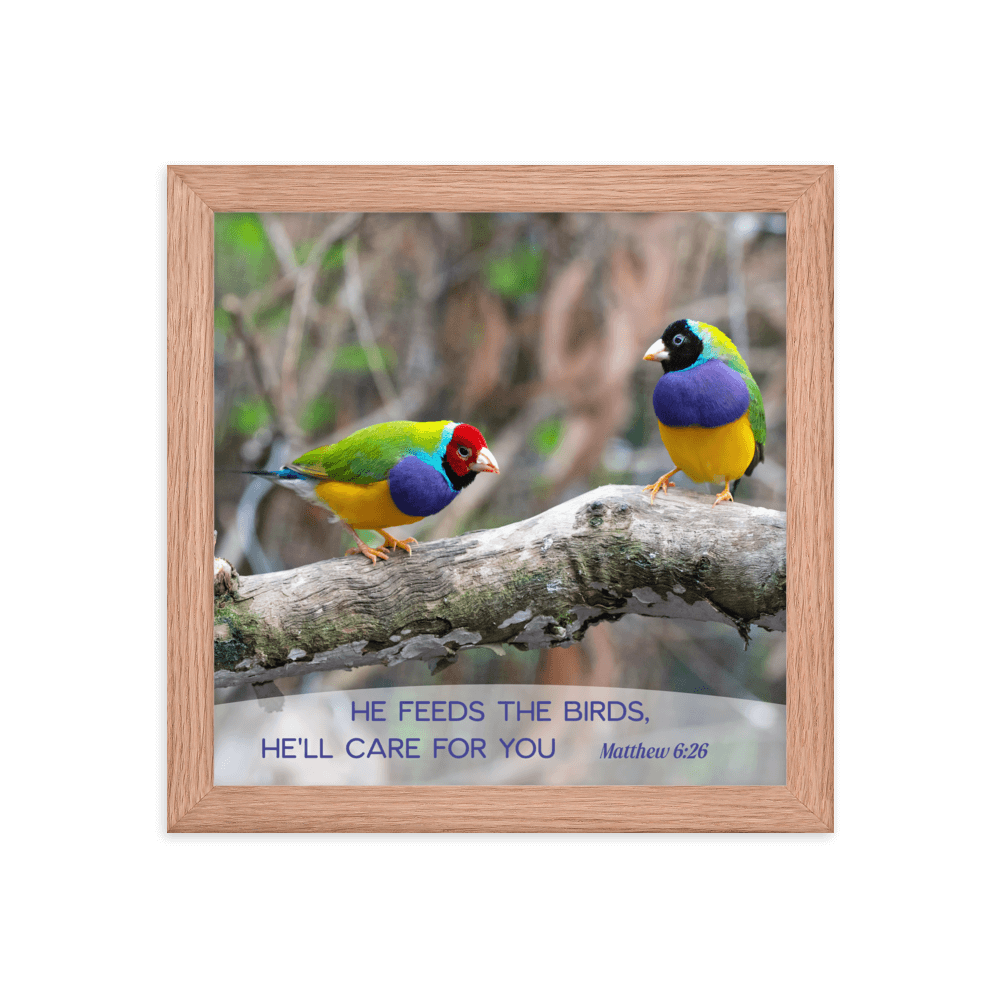 Matthew 6:26 Gouldian Finches, He'll Care for You Enhanced Matte Paper Framed Poster Wall Art Red Oak 10″×10″