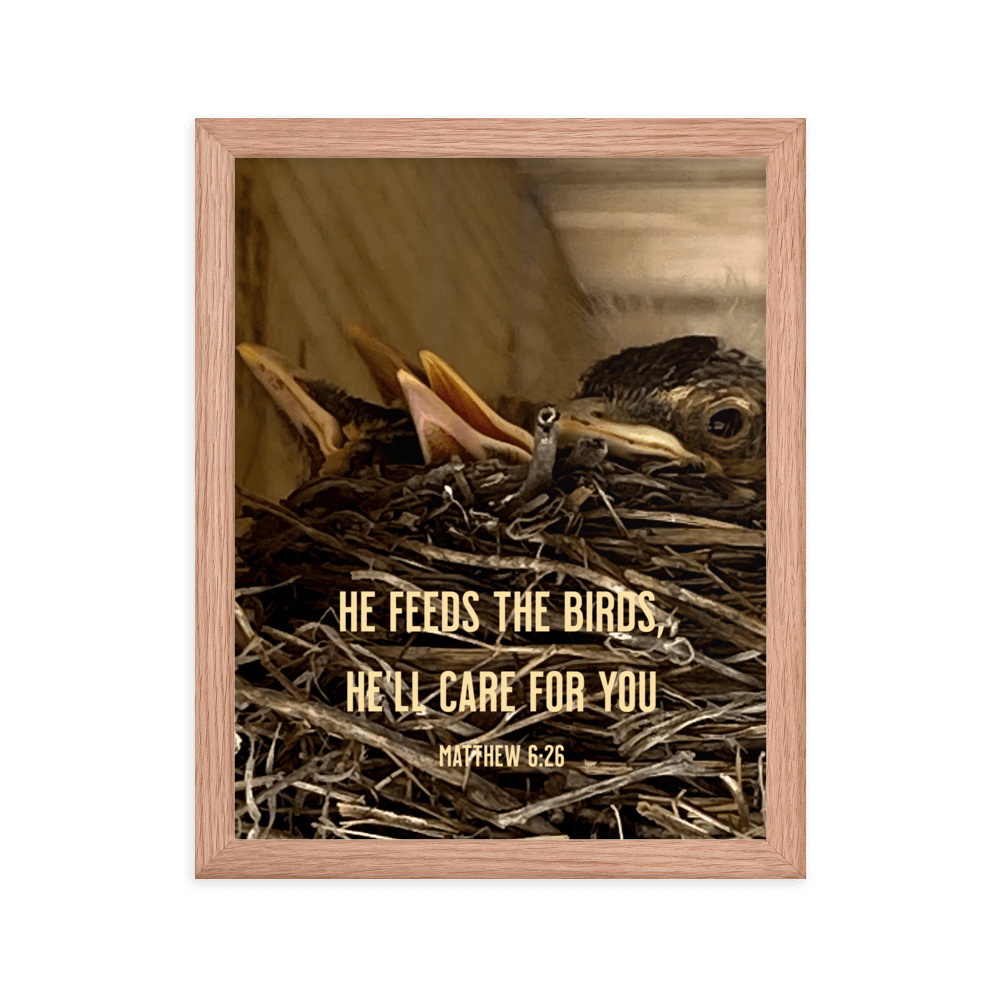 Matthew 6:26 Baby Robins, He'll Care for You Enhanced Matte Paper Framed Poster Wall Art Red Oak 11″×14″