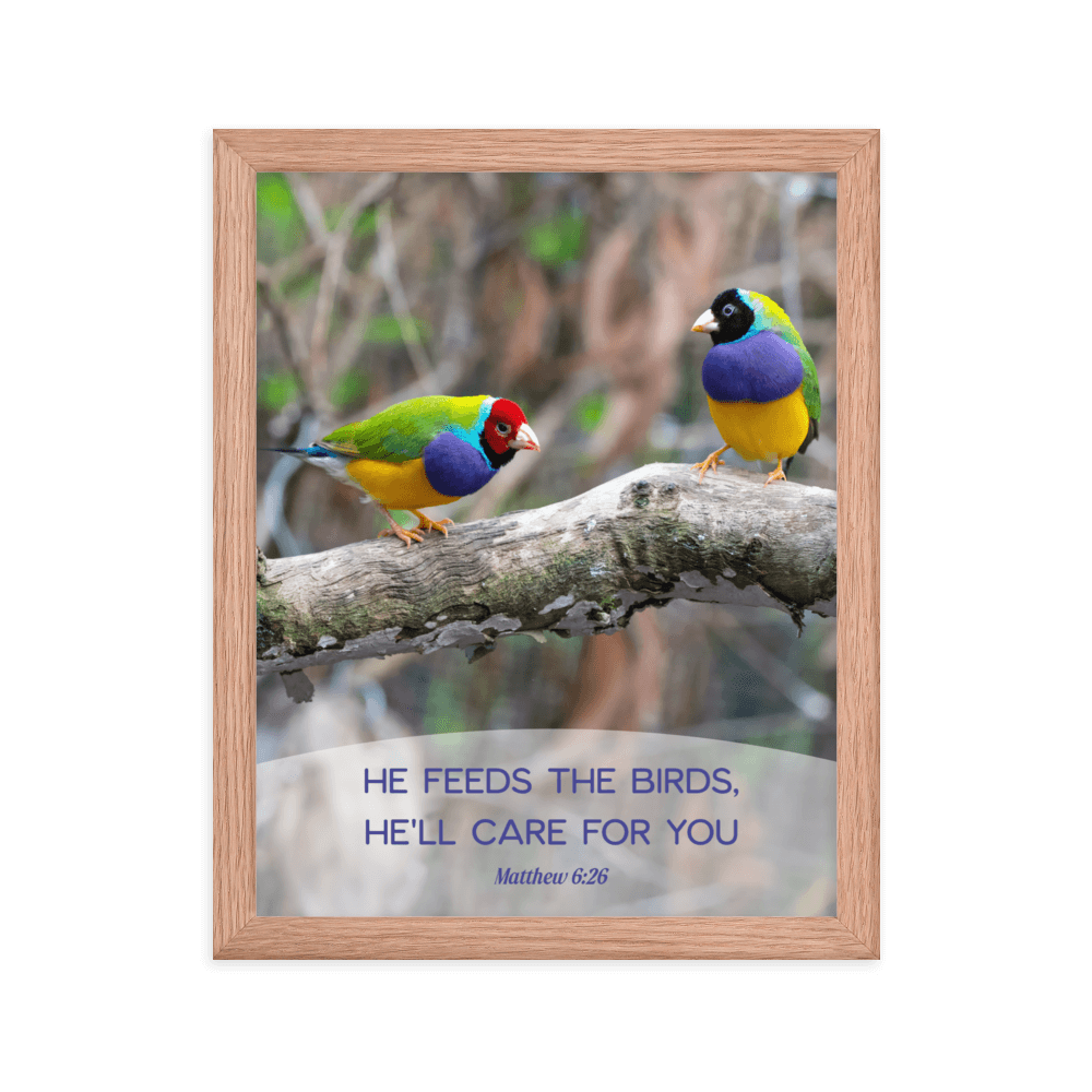 Matthew 6:26 Gouldian Finches, He'll Care for You Enhanced Matte Paper Framed Poster Wall Art Red Oak 11″×14″
