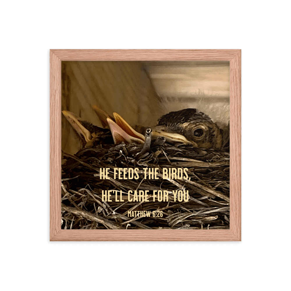 Matthew 6:26 Baby Robins, He'll Care for You Enhanced Matte Paper Framed Poster Wall Art Red Oak 12″×12″