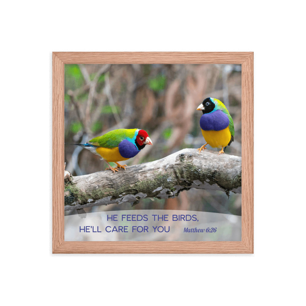 Matthew 6:26 Gouldian Finches, He'll Care for You Enhanced Matte Paper Framed Poster Wall Art Red Oak 12″×12″