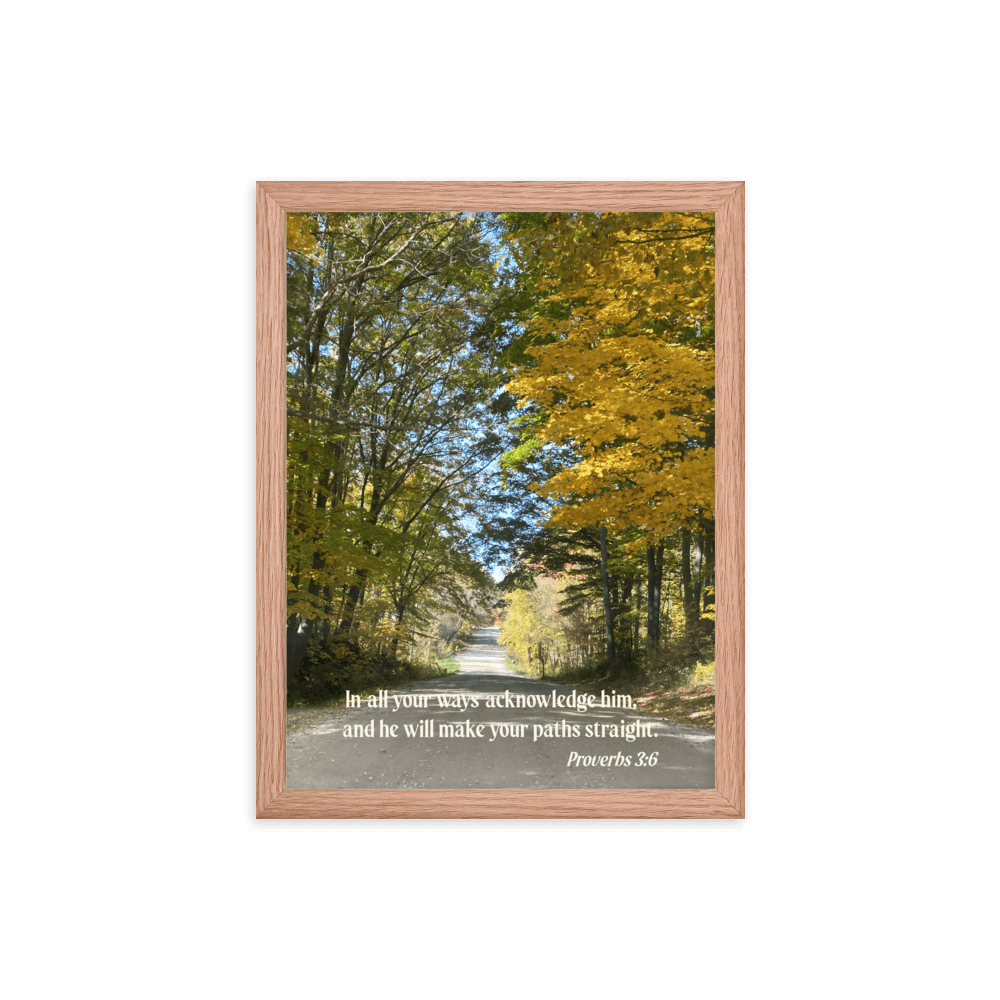Proverbs 3:6 Bible Verse, Fall Road Enhanced Matte Paper Framed Poster Wall Art Red Oak 12″×16″