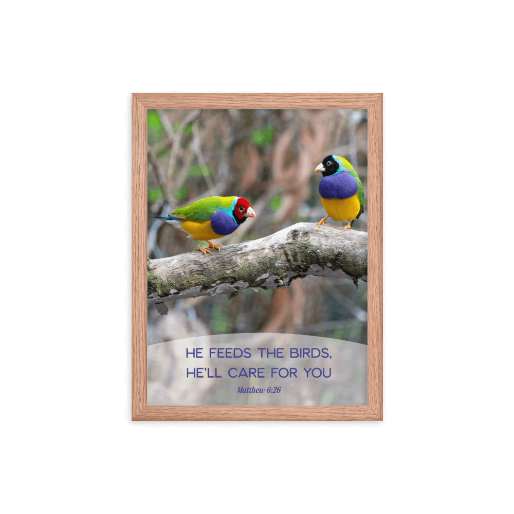 Matthew 6:26 Gouldian Finches, He'll Care for You Enhanced Matte Paper Framed Poster Wall Art Red Oak 12″×16″