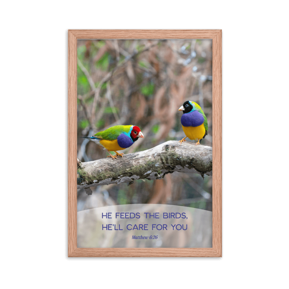 Matthew 6:26 Gouldian Finches, He'll Care for You Enhanced Matte Paper Framed Poster Wall Art Red Oak 12″×18″