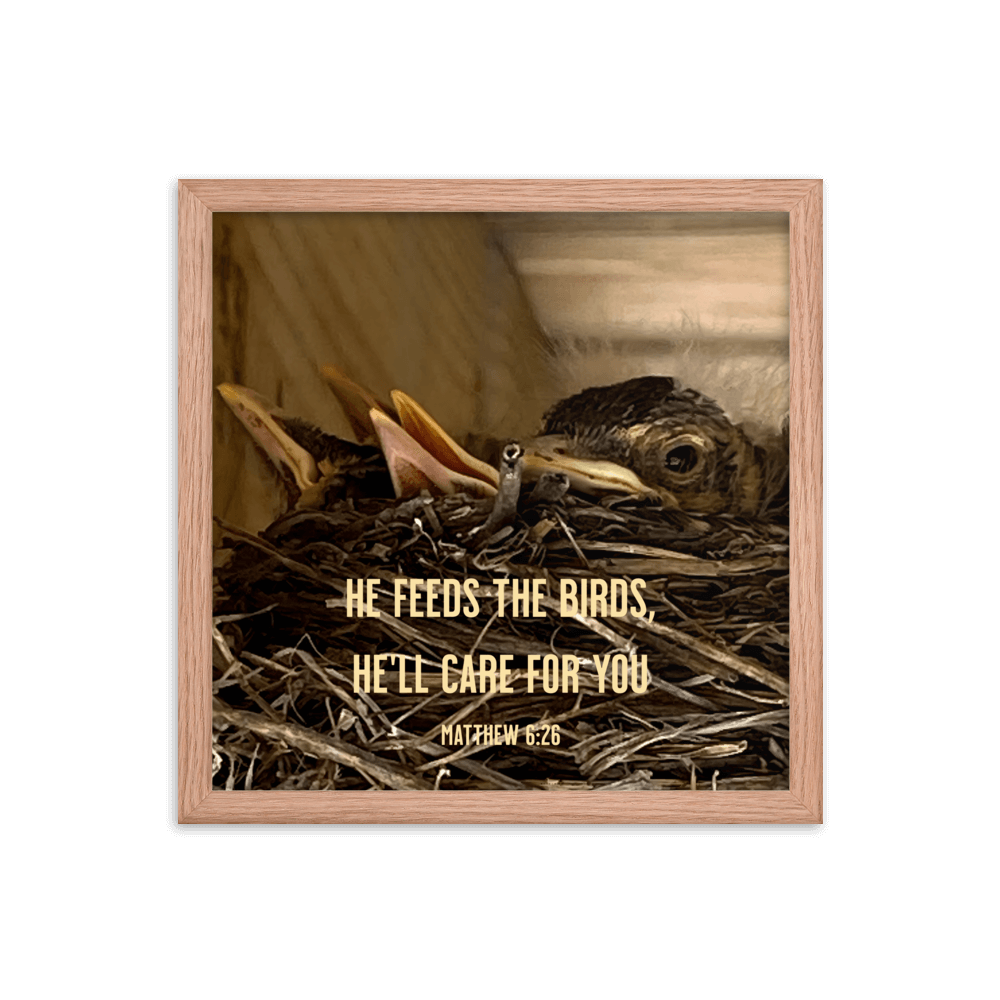 Matthew 6:26 Baby Robins, He'll Care for You Enhanced Matte Paper Framed Poster Wall Art Red Oak 14″×14″