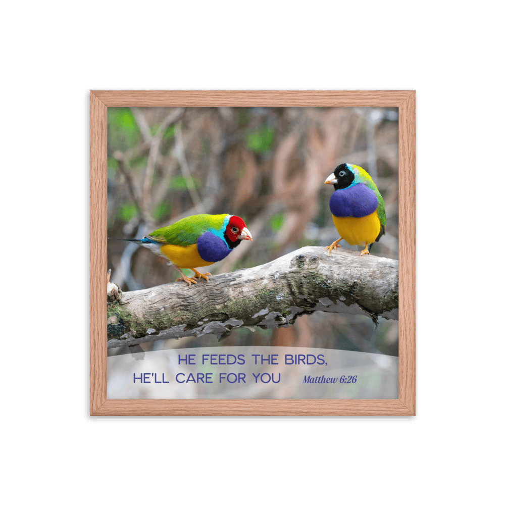 Matthew 6:26 Gouldian Finches, He'll Care for You Enhanced Matte Paper Framed Poster Wall Art Red Oak 14″×14″