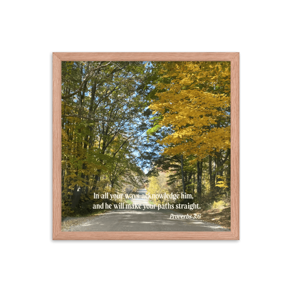 Proverbs 3:6 Bible Verse, Fall Road Enhanced Matte Paper Framed Poster Wall Art Red Oak 16″×16″