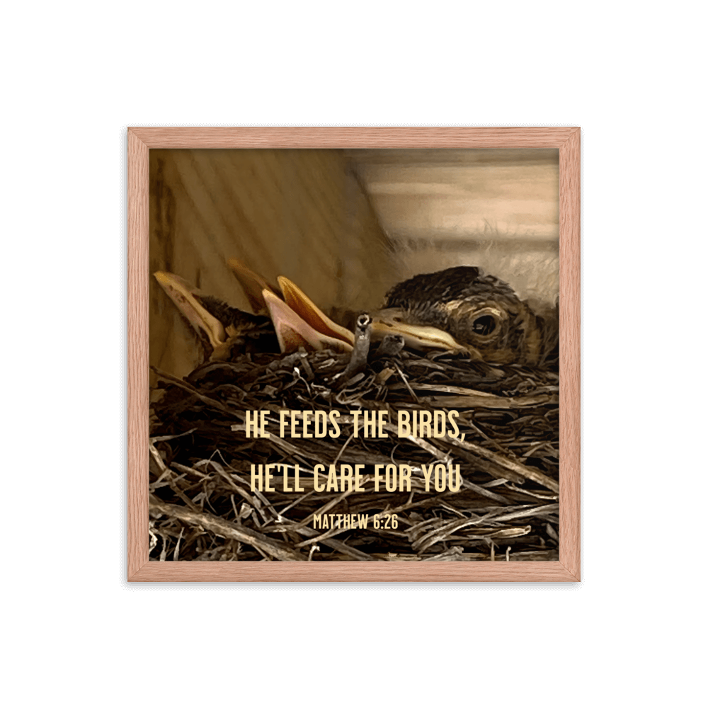 Matthew 6:26 Baby Robins, He'll Care for You Enhanced Matte Paper Framed Poster Wall Art Red Oak 16″×16″