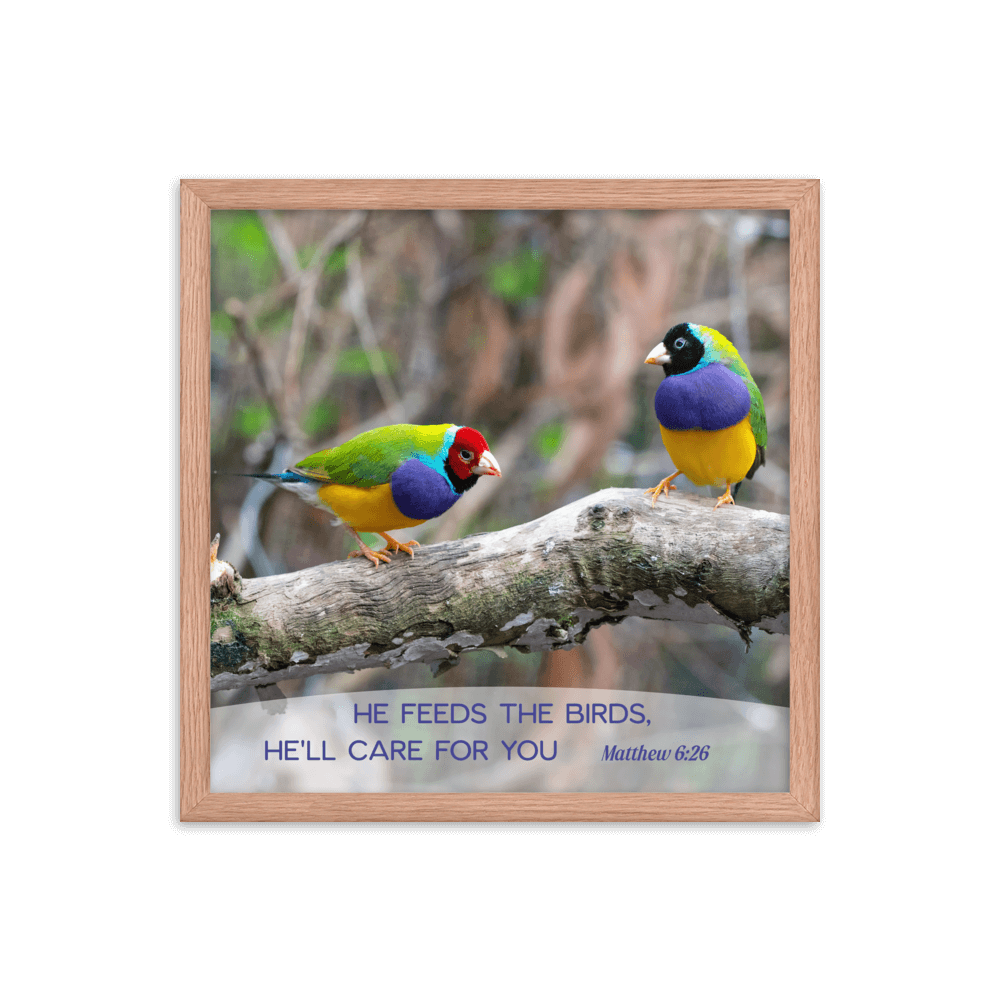 Matthew 6:26 Gouldian Finches, He'll Care for You Enhanced Matte Paper Framed Poster Wall Art Red Oak 16″×16″