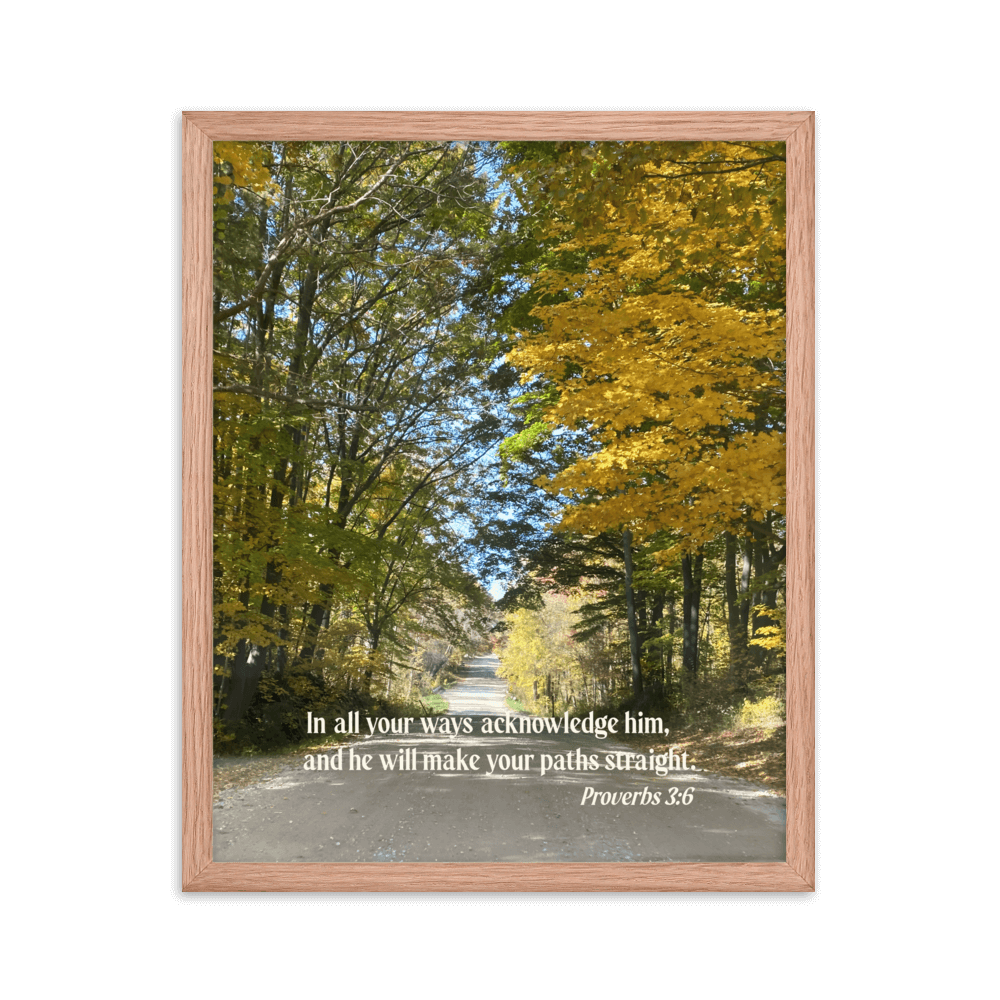 Proverbs 3:6 Bible Verse, Fall Road Enhanced Matte Paper Framed Poster Wall Art Red Oak 16″×20″