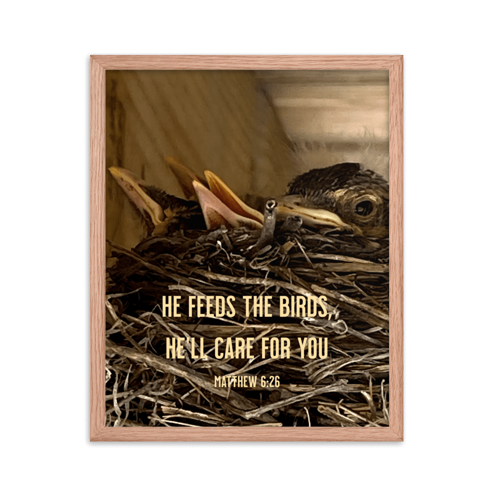Matthew 6:26 Baby Robins, He'll Care for You Enhanced Matte Paper Framed Poster Wall Art Red Oak 16″×20″