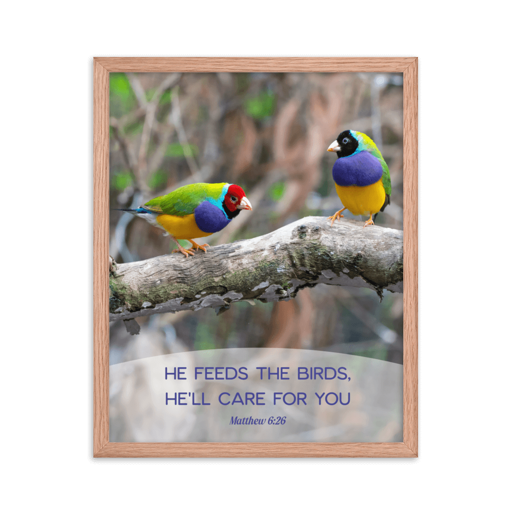 Matthew 6:26 Gouldian Finches, He'll Care for You Enhanced Matte Paper Framed Poster Wall Art Red Oak 16″×20″