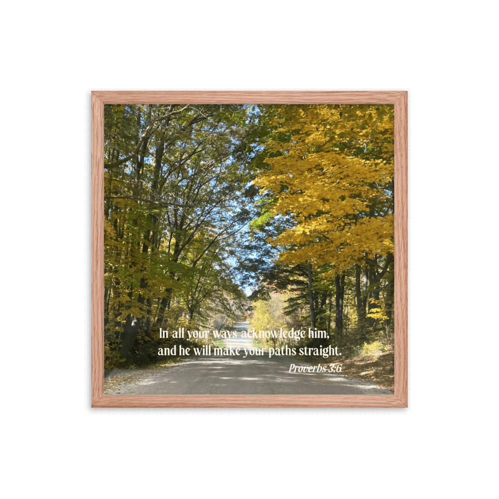 Proverbs 3:6 Bible Verse, Fall Road Enhanced Matte Paper Framed Poster Wall Art Red Oak 18″×18″