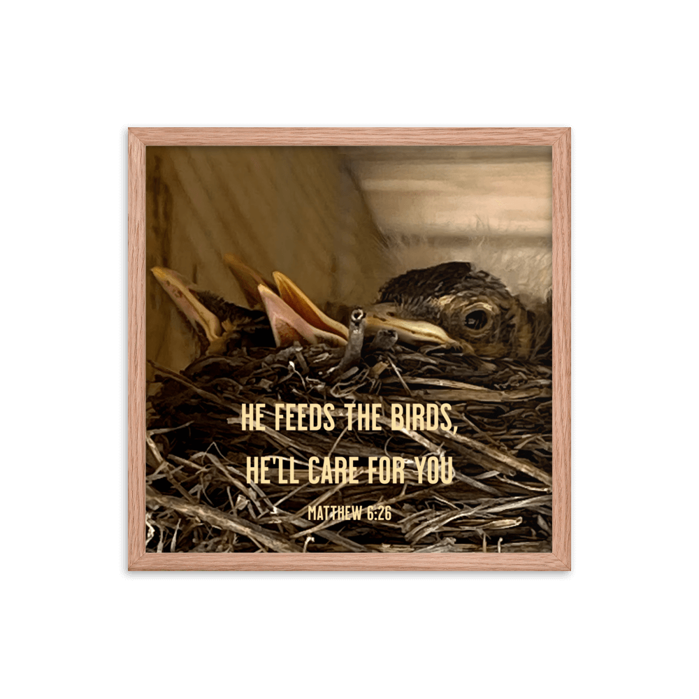 Matthew 6:26 Baby Robins, He'll Care for You Enhanced Matte Paper Framed Poster Wall Art Red Oak 18″×18″
