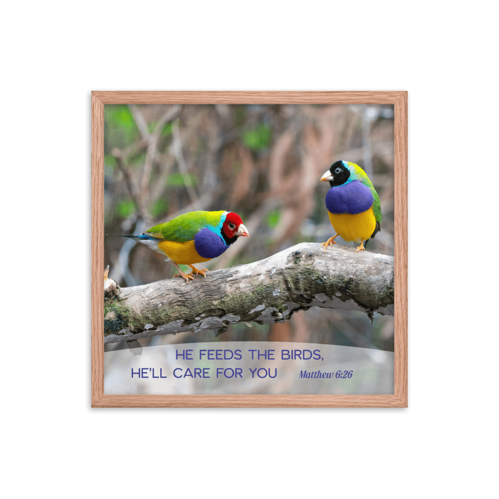 Matthew 6:26 Gouldian Finches, He'll Care for You Enhanced Matte Paper Framed Poster Wall Art Red Oak 18″×18″