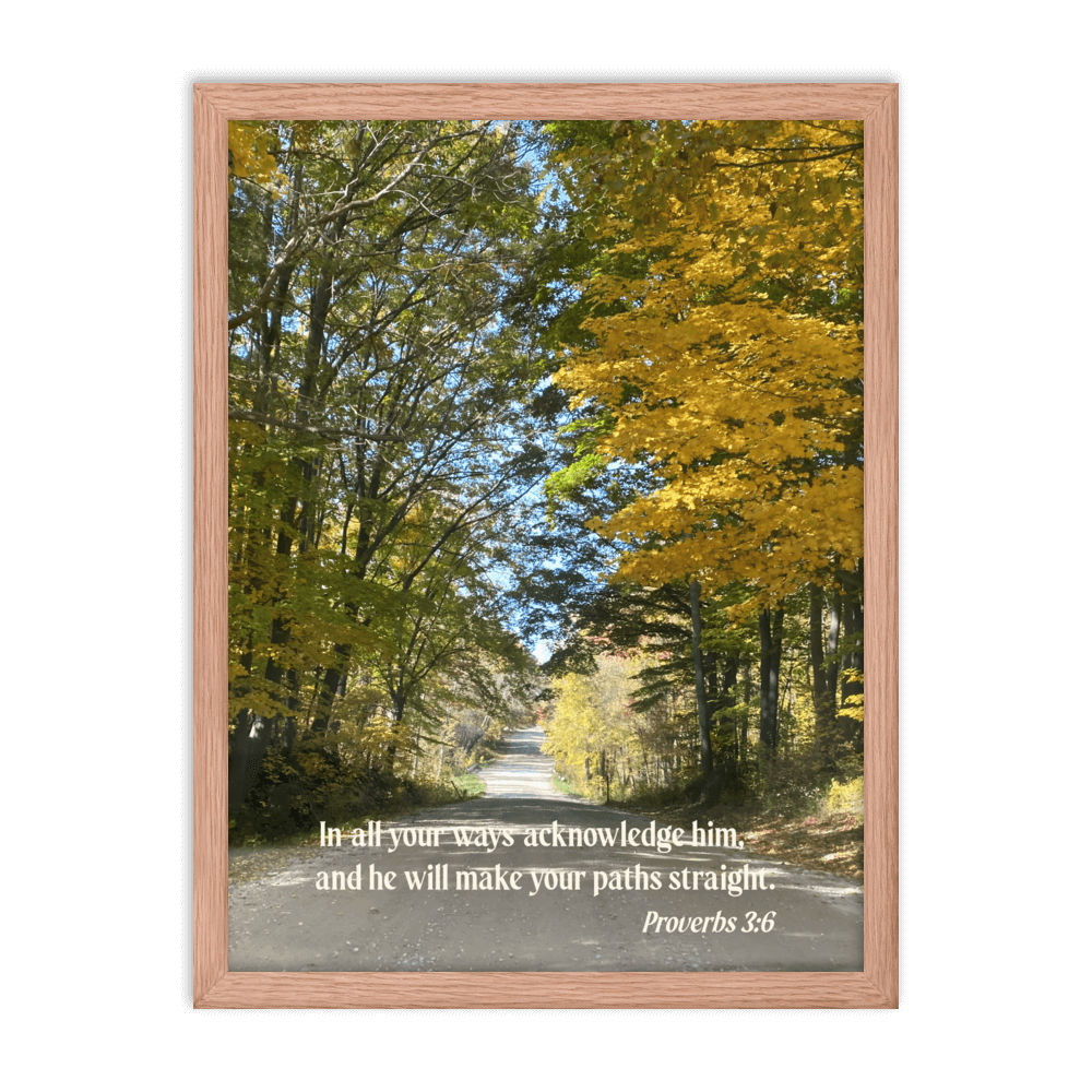 Proverbs 3:6 Bible Verse, Fall Road Enhanced Matte Paper Framed Poster Wall Art Red Oak 18″×24″