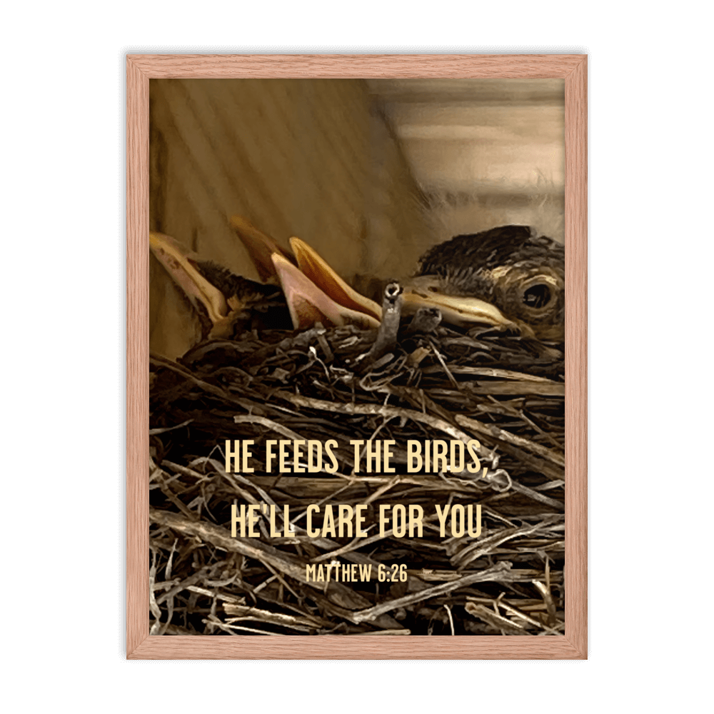 Matthew 6:26 Baby Robins, He'll Care for You Enhanced Matte Paper Framed Poster Wall Art Red Oak 18″×24″