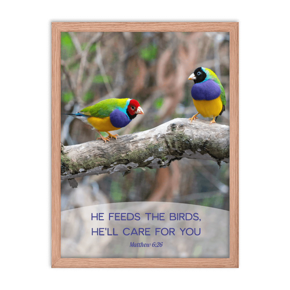 Matthew 6:26 Gouldian Finches, He'll Care for You Enhanced Matte Paper Framed Poster Wall Art Red Oak 18″×24″