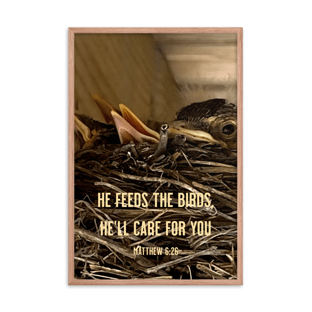 Matthew 6:26 Baby Robins, He'll Care for You Enhanced Matte Paper Framed Poster Wall Art Red Oak 24″×36″