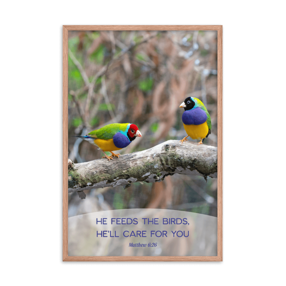 Matthew 6:26 Gouldian Finches, He'll Care for You Enhanced Matte Paper Framed Poster Wall Art Red Oak 24″×36″