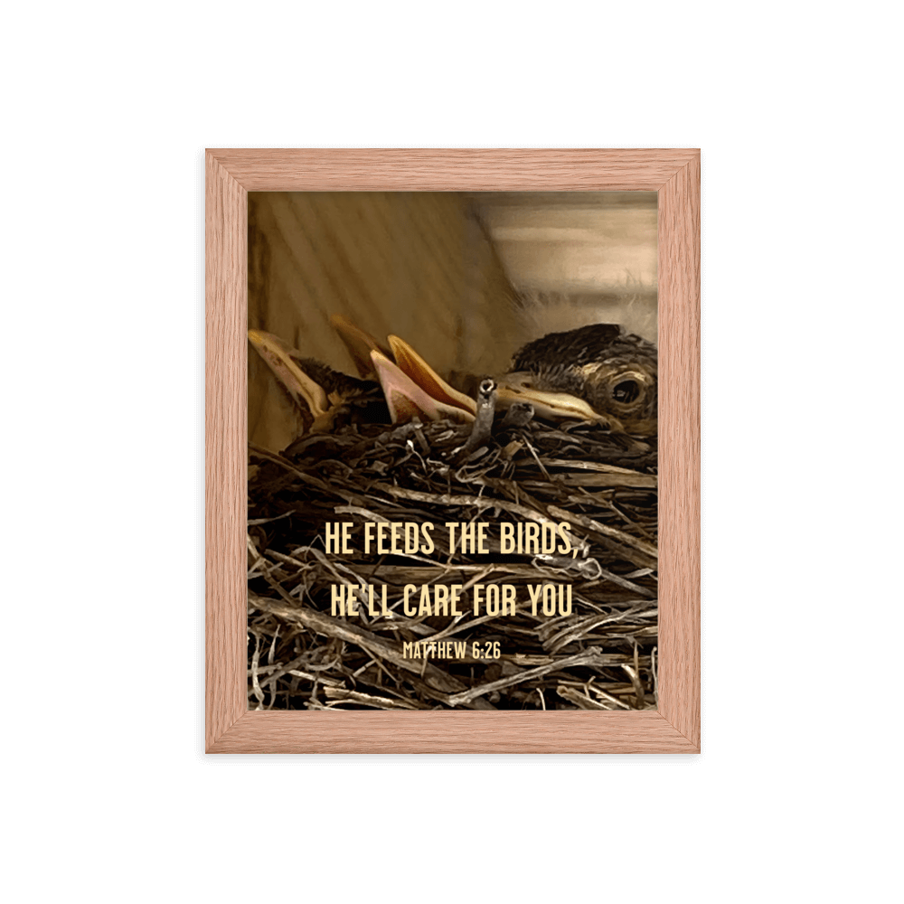 Matthew 6:26 Baby Robins, He'll Care for You Enhanced Matte Paper Framed Poster Wall Art Red Oak 8″×10″