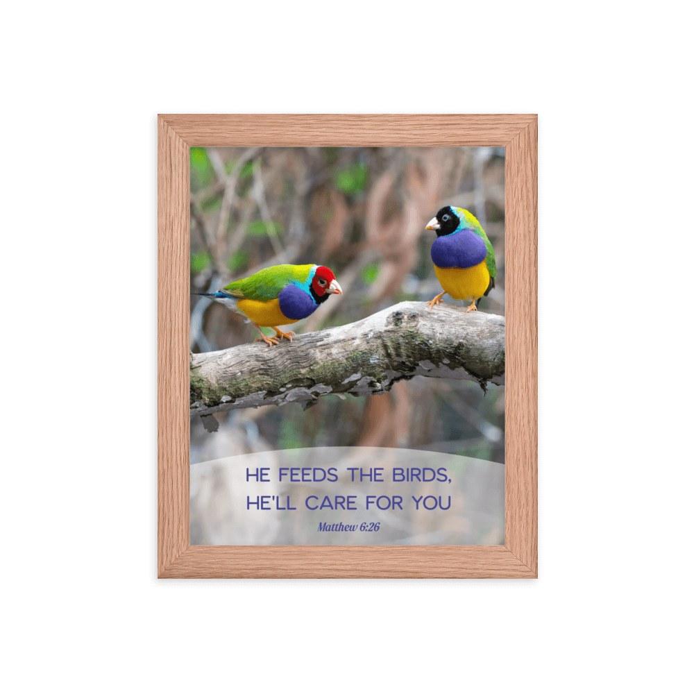 Matthew 6:26 Gouldian Finches, He'll Care for You Enhanced Matte Paper Framed Poster Wall Art Red Oak 8″×10″