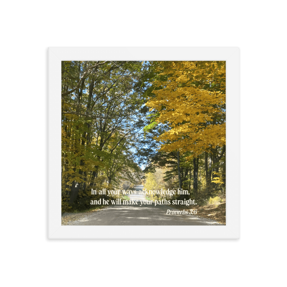 Proverbs 3:6 Bible Verse, Fall Road Enhanced Matte Paper Framed Poster Wall Art White 10″×10″