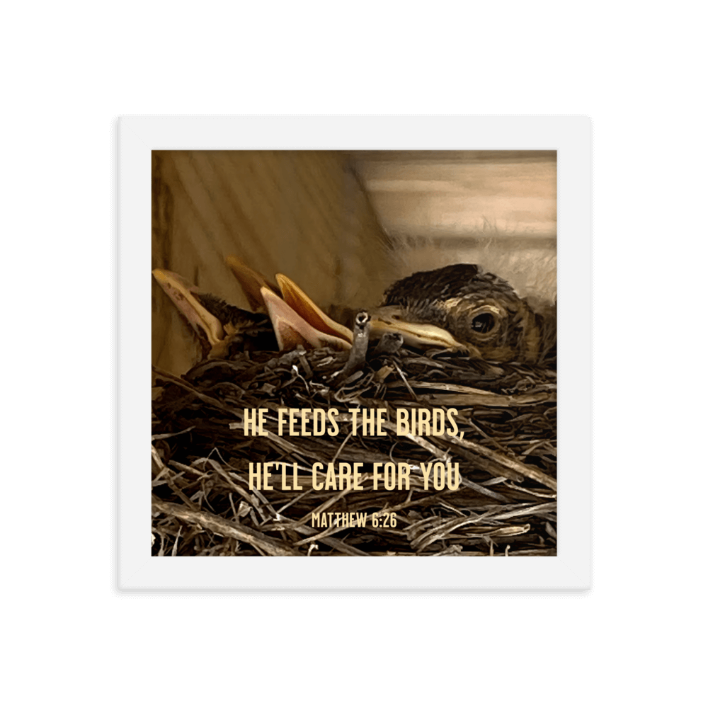 Matthew 6:26 Baby Robins, He'll Care for You Enhanced Matte Paper Framed Poster Wall Art White 10″×10″