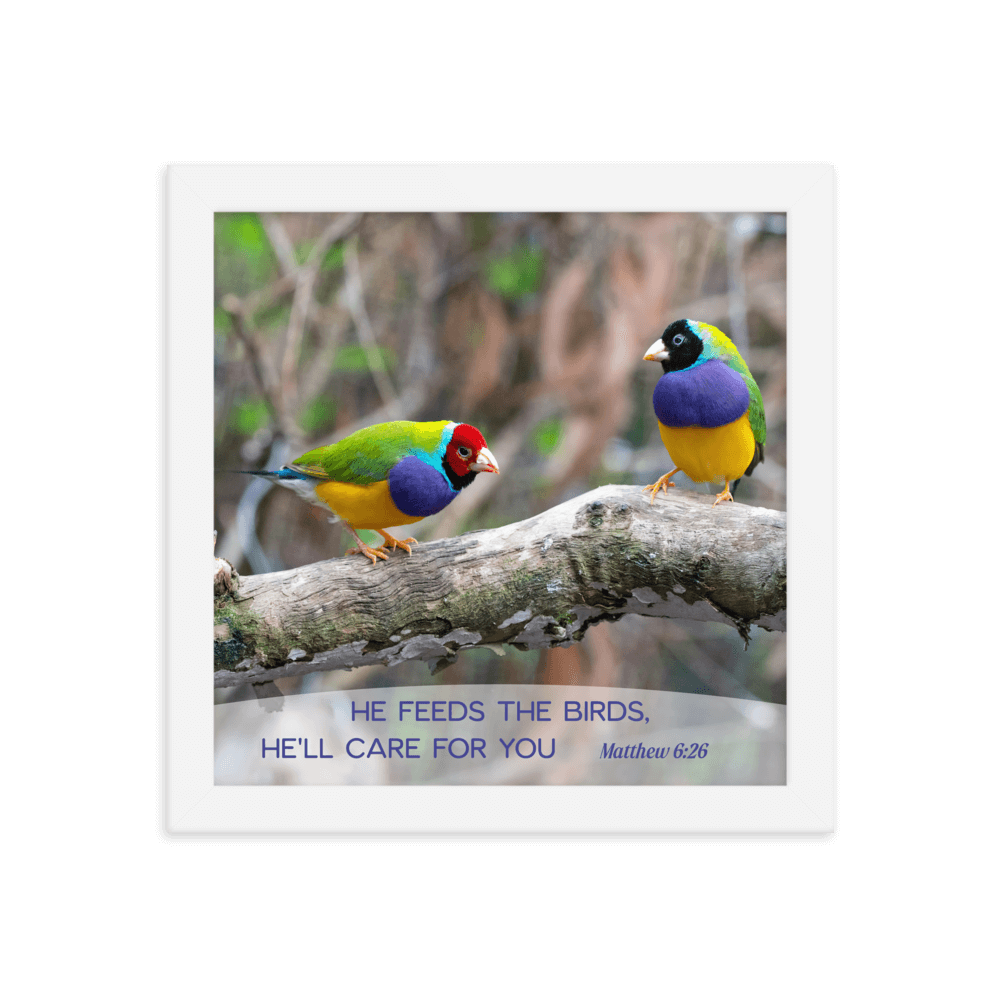 Matthew 6:26 Gouldian Finches, He'll Care for You Enhanced Matte Paper Framed Poster Wall Art White 10″×10″