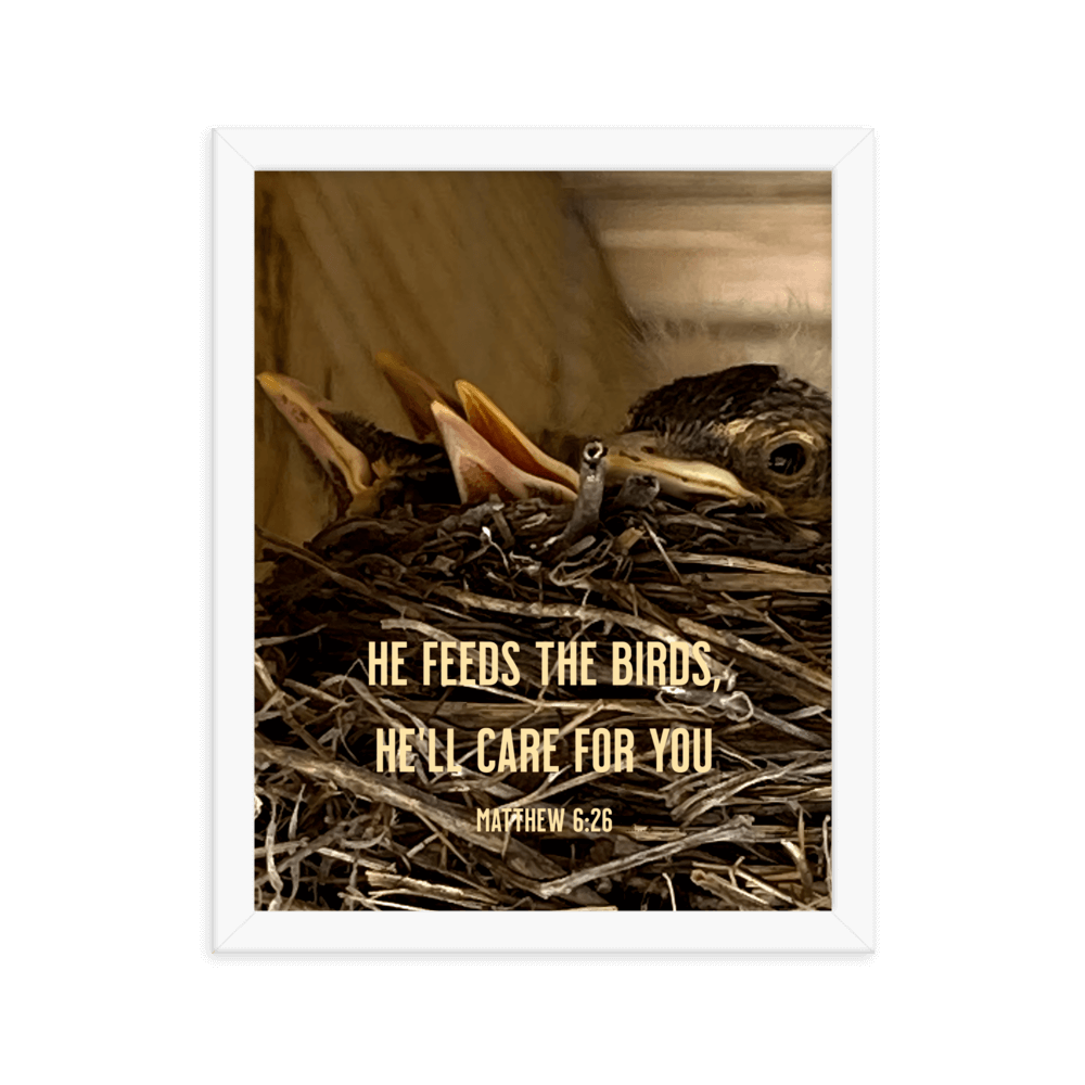 Matthew 6:26 Baby Robins, He'll Care for You Enhanced Matte Paper Framed Poster Wall Art White 11″×14″