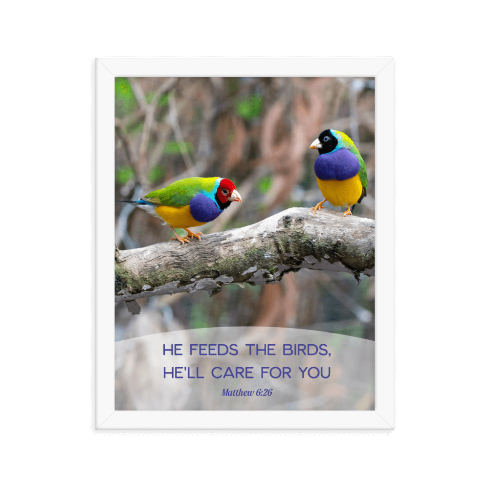 Matthew 6:26 Gouldian Finches, He'll Care for You Enhanced Matte Paper Framed Poster Wall Art White 11″×14″