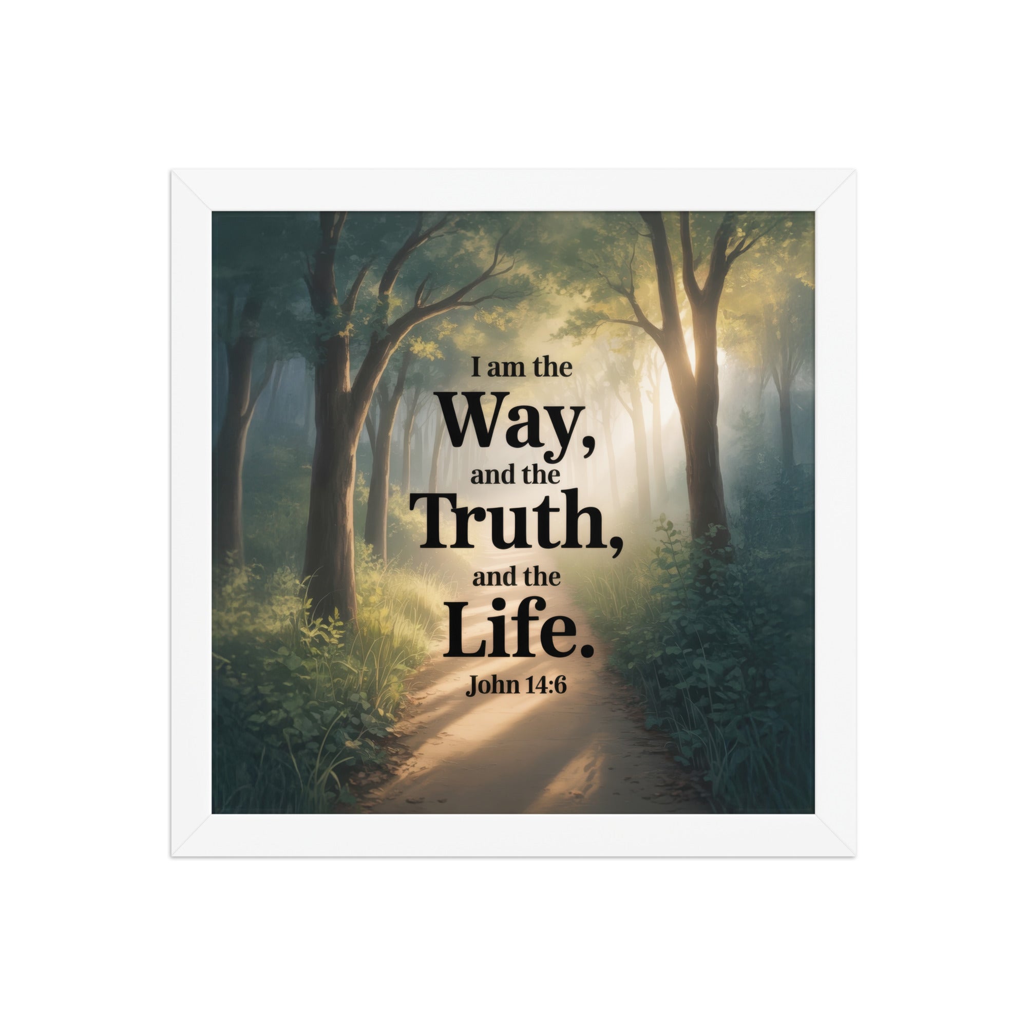 John 14:6 Bible Verse The Life Enhanced Matte Paper Framed Poster White 12″×12″