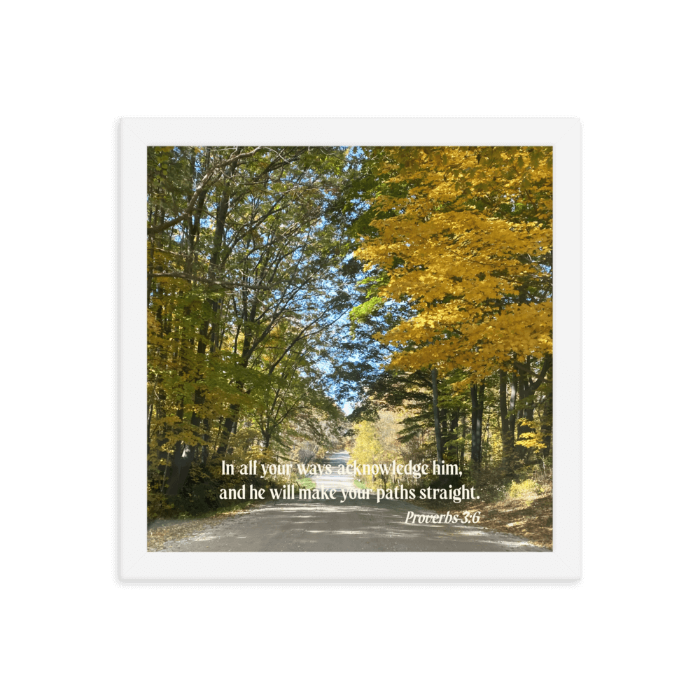 Proverbs 3:6 Bible Verse, Fall Road Enhanced Matte Paper Framed Poster Wall Art White 12″×12″