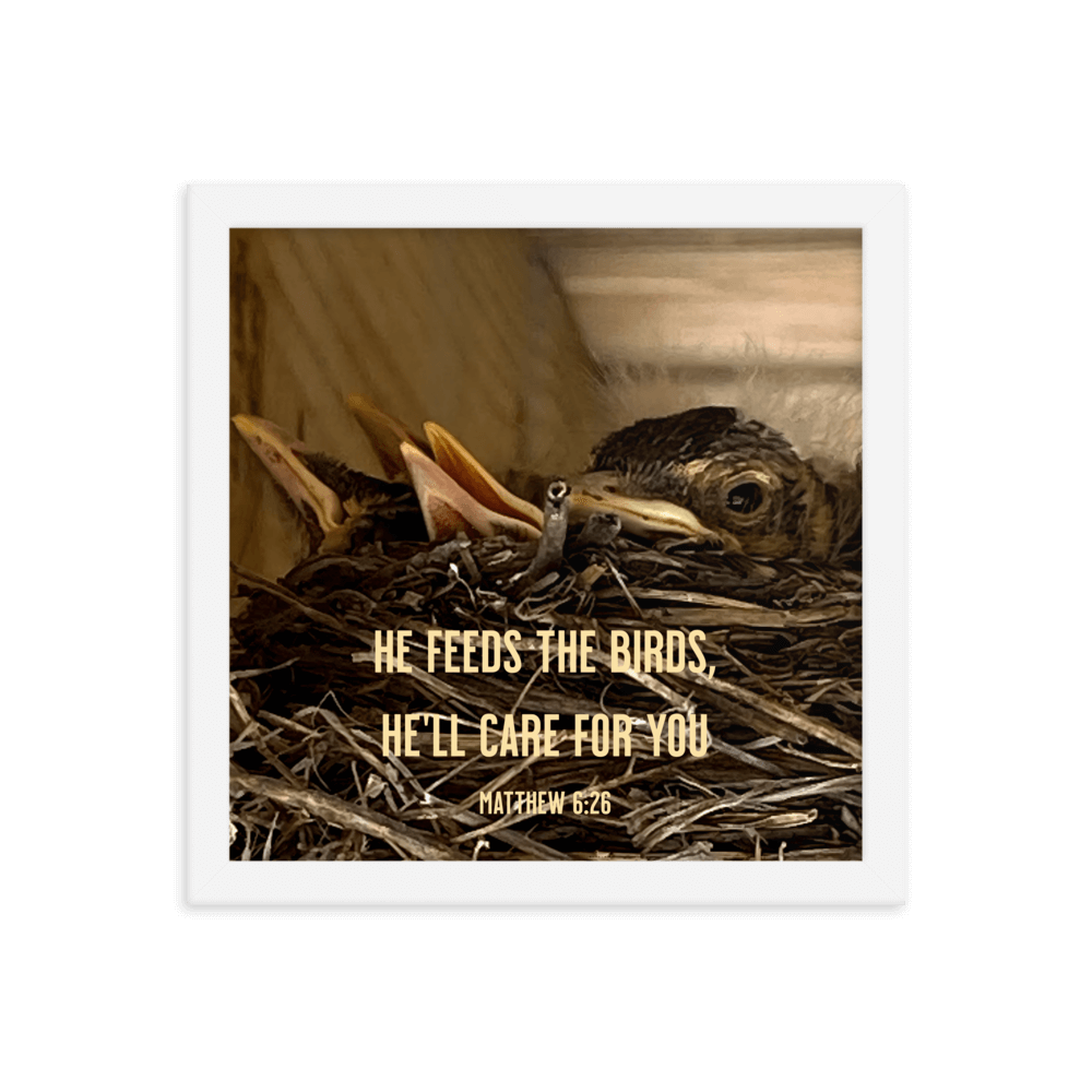 Matthew 6:26 Baby Robins, He'll Care for You Enhanced Matte Paper Framed Poster Wall Art White 12″×12″