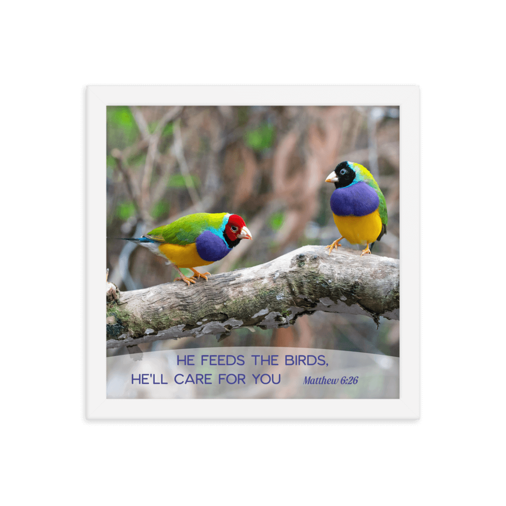 Matthew 6:26 Gouldian Finches, He'll Care for You Enhanced Matte Paper Framed Poster Wall Art White 12″×12″