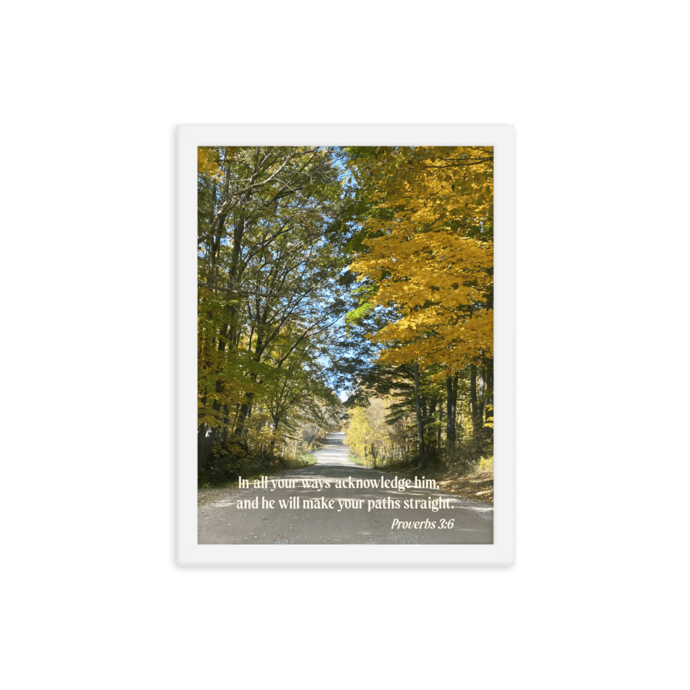 Proverbs 3:6 Bible Verse, Fall Road Enhanced Matte Paper Framed Poster Wall Art White 12″×16″