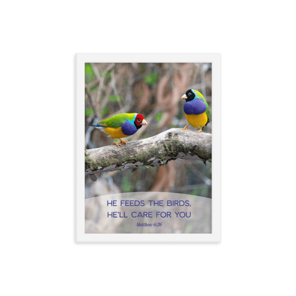 Matthew 6:26 Gouldian Finches, He'll Care for You Enhanced Matte Paper Framed Poster Wall Art White 12″×16″