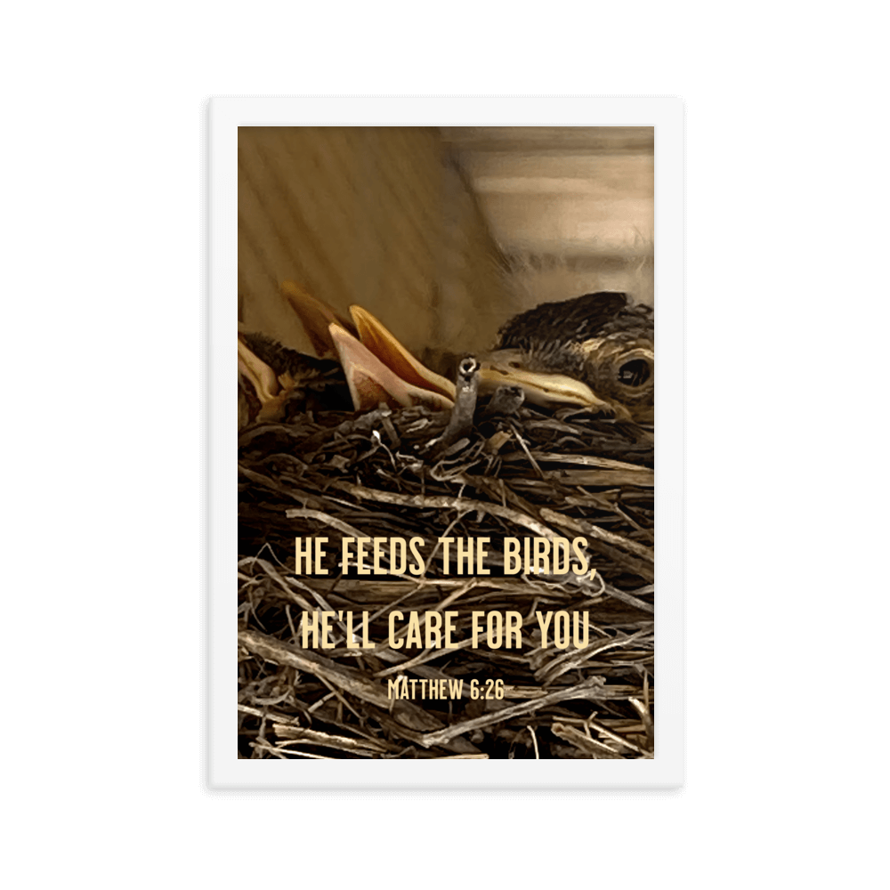 Matthew 6:26 Baby Robins, He'll Care for You Enhanced Matte Paper Framed Poster Wall Art White 12″×18″