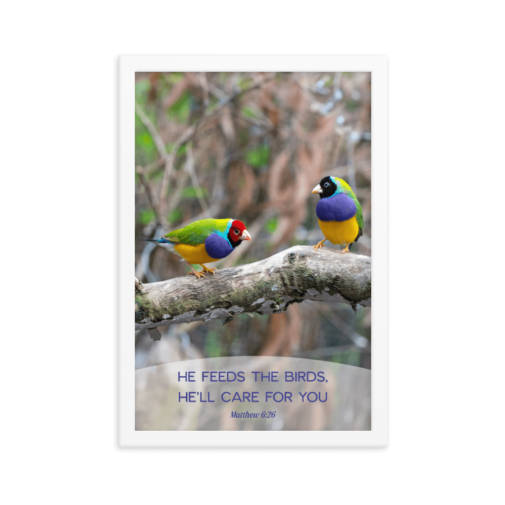 Matthew 6:26 Gouldian Finches, He'll Care for You Enhanced Matte Paper Framed Poster Wall Art White 12″×18″