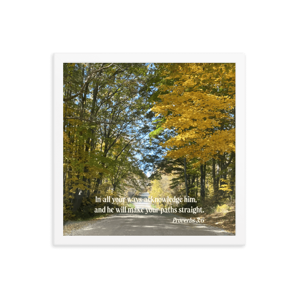 Proverbs 3:6 Bible Verse, Fall Road Enhanced Matte Paper Framed Poster Wall Art White 14″×14″