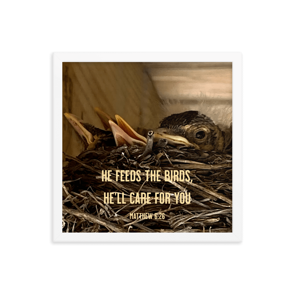 Matthew 6:26 Baby Robins, He'll Care for You Enhanced Matte Paper Framed Poster Wall Art White 14″×14″